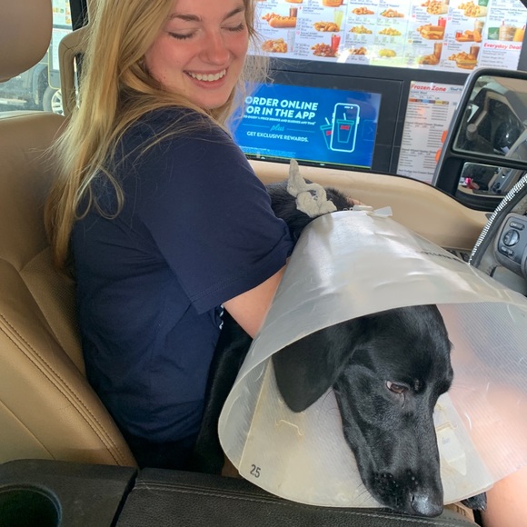 Meet your Posher, Ellie - Picture 12 of 12